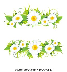 Chamomile summer flower frame on white background