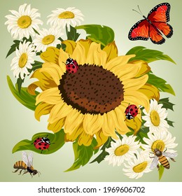 Chamomile and sunflowers in illustration.Chamomiles, sunflowers and insects on a colored background in vector illustration.