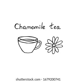 Chamomile tea, сup and chamomile flower, vector illustration, hand drawing