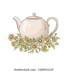 chamomile tea illustration