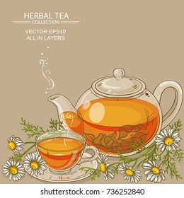 chamomile tea illustration