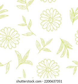 chamomile and tea leaves seamless pattern hand drawn in doodle style. 