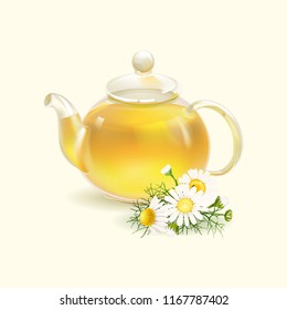 Chamomile. Chamomile tea. A useful therapeutic drink from flowers of chamomile medicinal. Hot aromatic fresh tea. Cup and Teapot