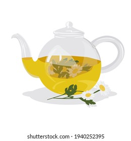 Chamomile tea vector stock illustration. Hot herbal drink in a teapot for colds. A soothing medical remedy. Isolated on a white background.