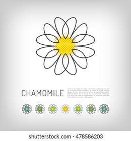 Chamomile Thin Line Art Icon, Isolated Daisy Logo, Abstract Flower Design. Simple Floral. Modern Minimal Design Flower, Vector Illustration