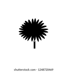 chamomile vector icon. chamomile sign on white background. chamomile icon for web and app