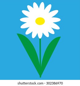 Chamomile. Vector illustration