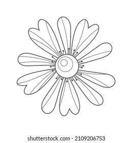 Chamomile. Vector outline of a flower. Isolated image on a white background.