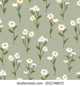 Chamomile vector seamless pattern. Floral ditsy texture with small white daisy flowers, buds and leaves for fabric, wrapping, textile and wallpaper.