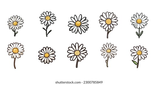 Chamomile vector set collection graphic clipart design