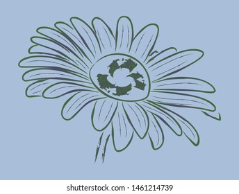 Chamomile vector sketch, logo, icon, postcard.