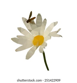 Chamomile with wasp in the style polygonal graphics. White background