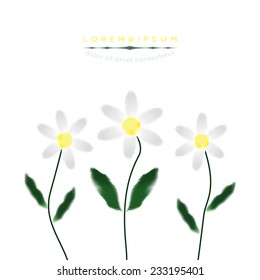 Chamomile in watercolor style. Vector.