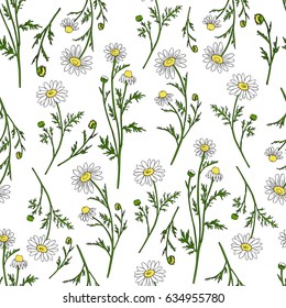 Chamomile Wild Field Flower Isolated On White Background Botanical Hand Drawn Daisy Sketch Vector Doodle Illustration, Seamless Pattern For Design Package Tea, Cosmetic, Medicine, Textile, Fabric