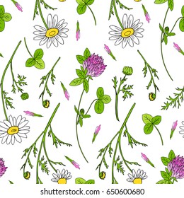 Chamomile wild field flower, Red clover, shamrock isolated on white background hand drawn daisy vector doodle illustration, seamless pattern for design package tea, cosmetic, medicine, textile, fabric