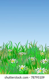 Chamomiles in grass with free space for your text (seamless) eps8