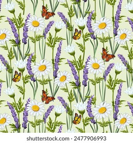 Chamomiles and lavender in a pattern.Vector seamless pattern with butterflies on daisies and lavender.