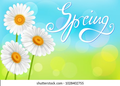 Chamomiles on abstract spring background, with inscription-spring.