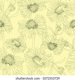 Chamomiles pattern/ Sepia flowers background
