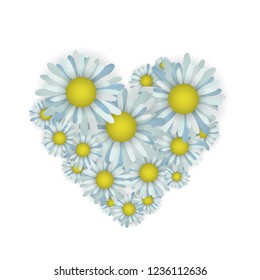 Chamomiles in the shape of a heart. Vector illustration. Valentine day. Blue flowers.