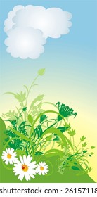Chamomiles. Spring composition. Vector