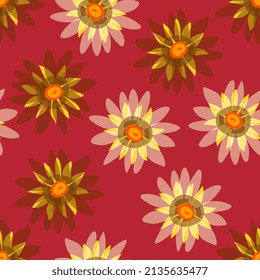 Chamomiles with translucent petals on a burgundy wine color background form a seamless pattern in vector. Natural print for summer fabric.