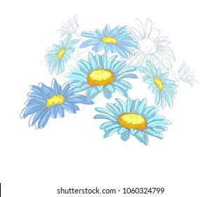 Chamomiles Vector Illustration, Ink Flowers 