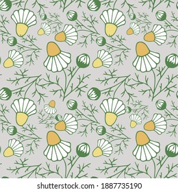 Chamomilla seamless pattern. Yellow white flower on grey botanical art design stock vector illustration for web, for print, for fabric print