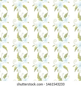 chamomily, ink foliage leaves pattern Collection with chamomile for decorative design. Vector drawing. 