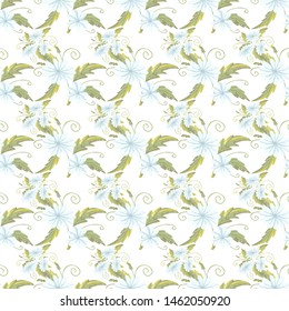 chamomily, ink foliage leaves pattern Collection with chamomile for decorative design. Vector drawing. 