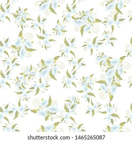 chamomily, ink foliage leaves pattern Collection with chamomile for decorative design. Vector drawing. 