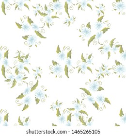 chamomily, ink foliage leaves pattern Collection with chamomile for decorative design. Vector drawing. 