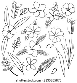 Champa Cosmos Jasmine Nerium Oleander Lily Leaf Flower Floral Silhouette Outline Line Element