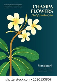 Rama de flor Champa, plumeria amarilla blanca, floral botánica frangipani, hermoso símbolo de Asia cartel, Sitio web, Plantilla de revista y más	

