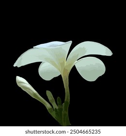 Champa, National flower of Laos Champa, EPS, Outline, illustration, Plumeria