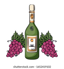 champagne bottle drink with grapes vector illustration design