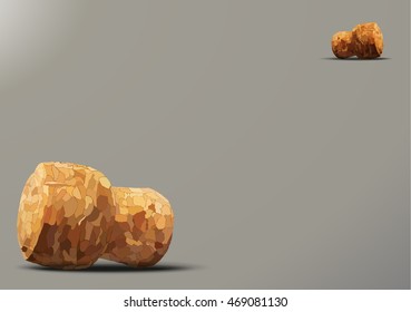 champagne cork is casting a shadow in the right on a white background
