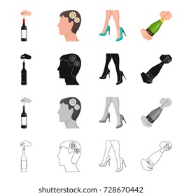 Champagne, glass, date and other web icon in cartoon style. Shoes, classic, model, icons in set collection.