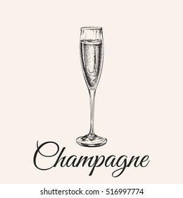 Champagne Glass Hand Drawing Vector Illustration Bubbles. Alcoholic Drink.