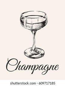 Champagne Glass Hand Drawing Vector Illustration . Alcoholic Drink.