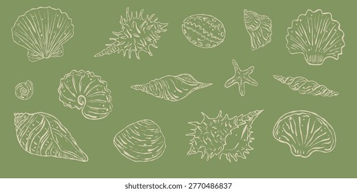 Champagne Sand Sea Shells Doodle Set, Hand-Drawn Earthy Green Coastal Illustration of Marine Life