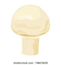 Champignon edible mushroom, vector illustration isolated from background