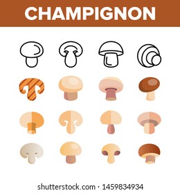Champignon, Edible Mushroom Vector Linear Icons Set. Whole Champignon. Cooking Ingredient, Organic Food Thin Line Pictograms. Fungi, Autumn Forest Fungus, Edible Mushrooms Flat Illustration