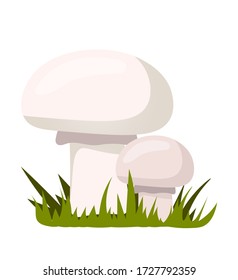 Champignon edible mushrooms compositions isolated on white. Organic farm forest vegetarian food. Organic agriculture product. Culinary ingredient. Design for menu cover. Vector cartoon illustration