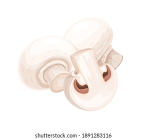 Champignon edible mushrooms vector illustration. Fresh whole and slice edible mushrooms isolated on white background. Eco organic vegan food ingredient.