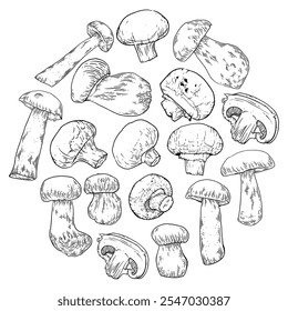 Champignon hand drawn set. Mushrooms ink drawing collection. Make for menu, recipes and package design or branding. Vector sketch food illustration.