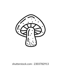 Champignon hand drawn vector illustration. Sketch mushroom drawing isolated on white background. Organic vegetarian product. Great for menu, label, product packaging, recipe