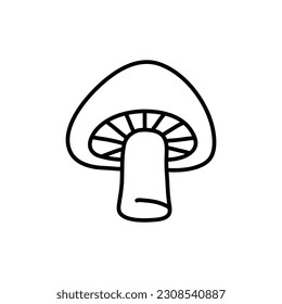 Champignon hand drawn vector illustration. Sketch mushroom drawing isolated on white background. Organic vegetarian product. Great for menu, label, product packaging, recipe