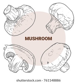 Champignon hand drawn vector illustration. Sketch mushroom  drawing isolated on white background. Organic vegetarian product. Great for menu, label, product packaging, recipe