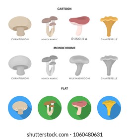 Champignon, honey, agarics, russula, chanterelle. set collection icons in cartoon,flat,monochrome style vector symbol stock illustration web.